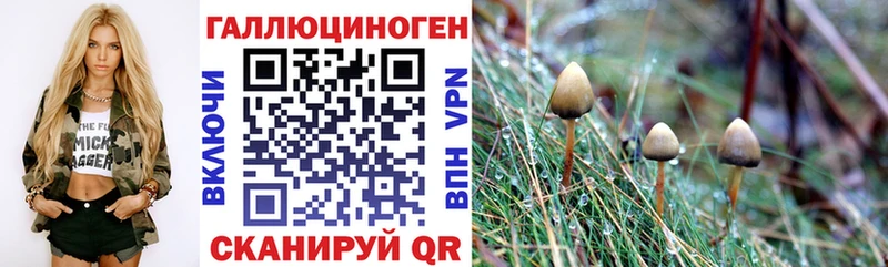Псилоцибиновые грибы MAGIC MUSHROOMS  shop состав  Щигры  продажа наркотиков 